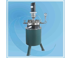 3L Hydrogenation Reactor